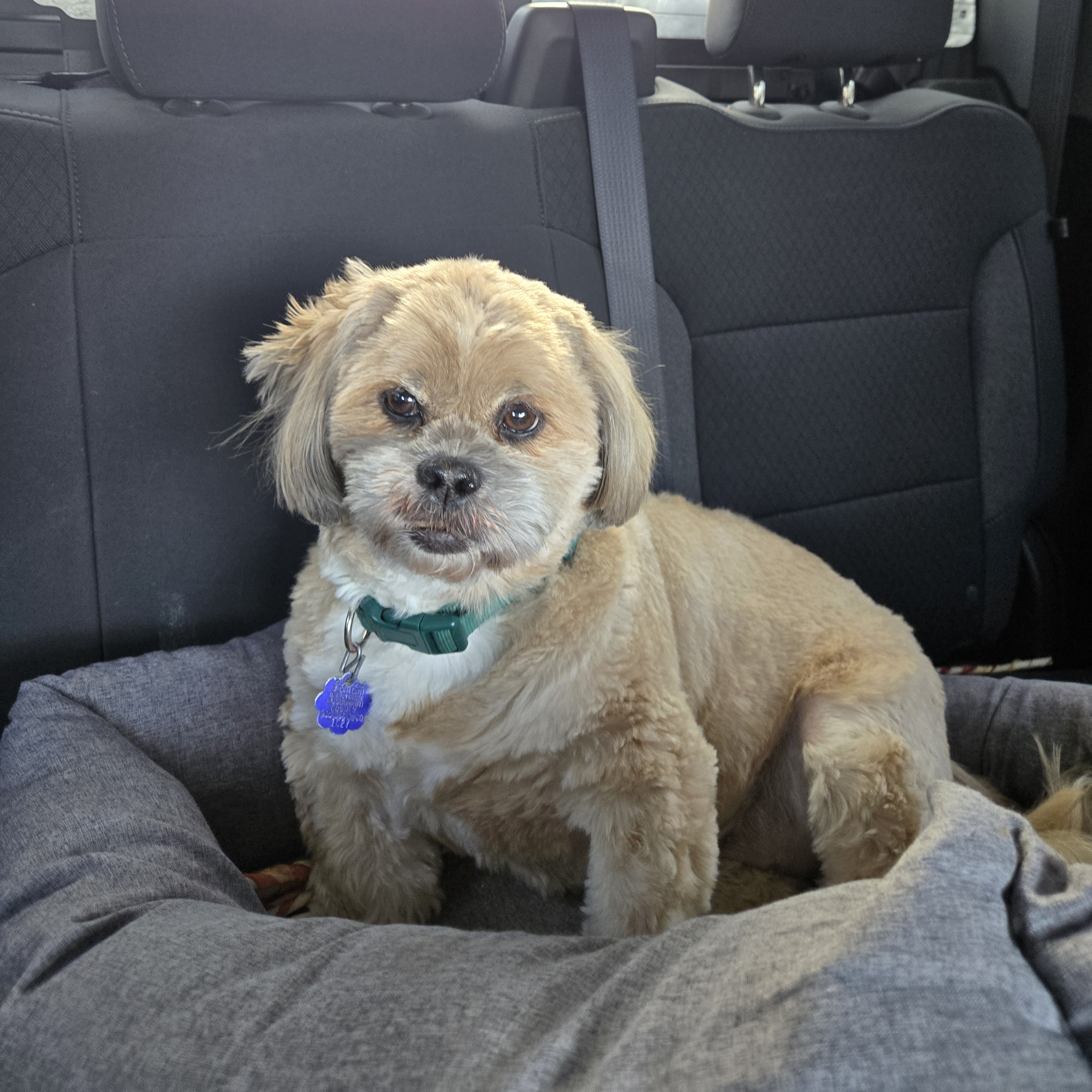 Facebook Cover Photo